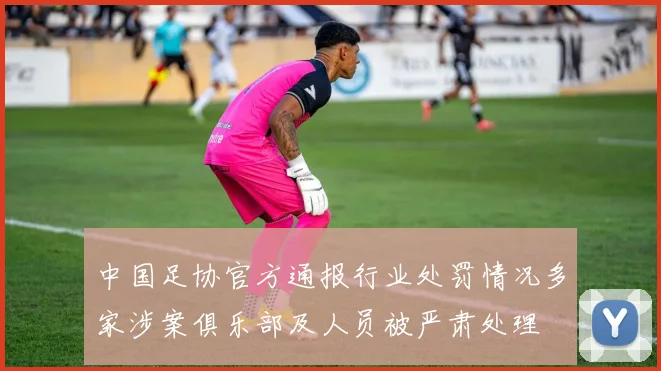 中国足协官方通报行业处罚情况多家涉案俱乐部及人员被严肃处理